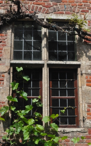 windows_of_Flanders (40)